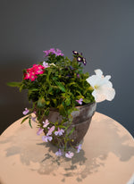 Load image into Gallery viewer, Flowering mix