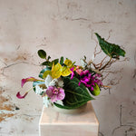 Load image into Gallery viewer, Tropical Zen