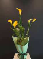 Load image into Gallery viewer, Yellow Calla Lily plant
