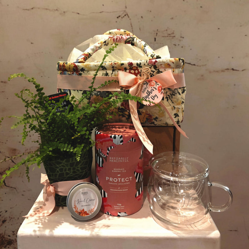 "Protect" Hamper in floral fabric storage basket with a plant