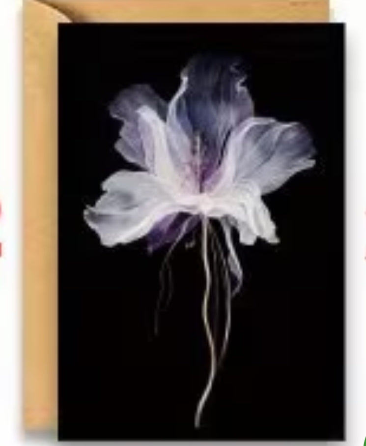 "Mystique flower" Sympathy card