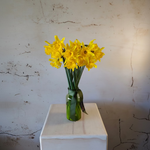 Load image into Gallery viewer, Message in a bottle - 20 Daffodils