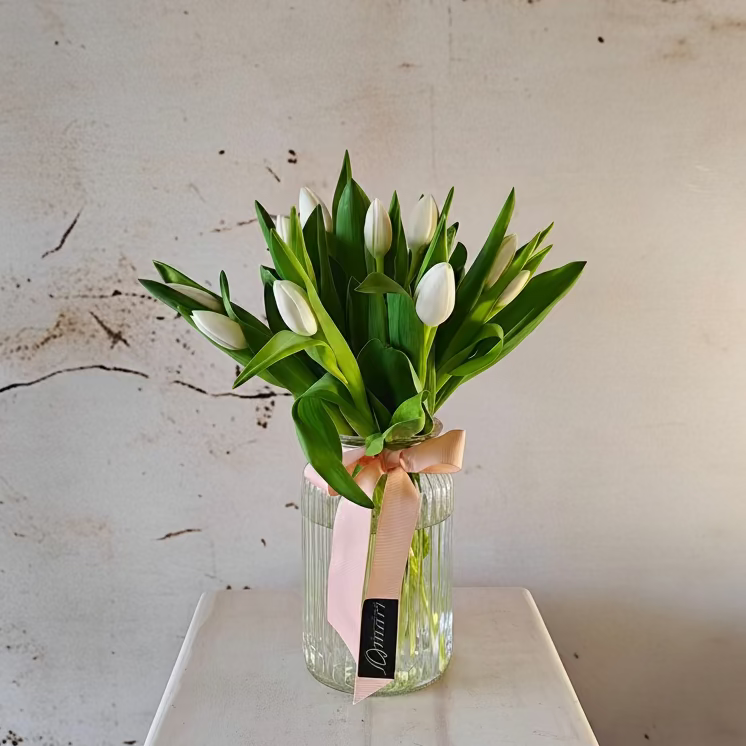 White Tulips in vase