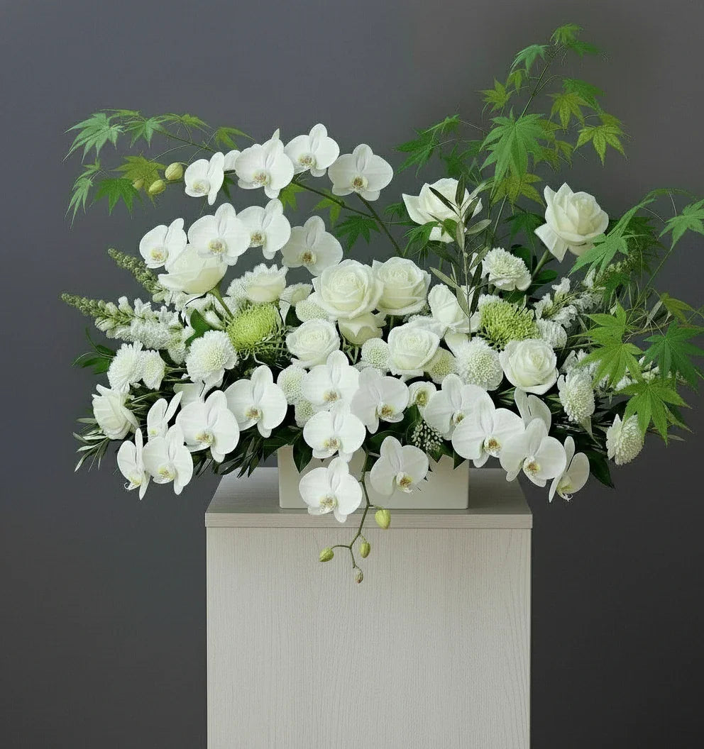 "White Fairyland"         Advance orders only