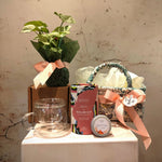 Load image into Gallery viewer, "Nourish" Hamper in floral fabric storage basket with a plant